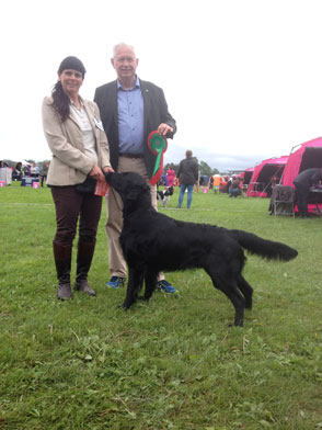 Focus Champion100617