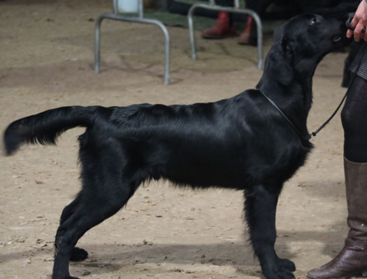 Oppvakte Noah9april17