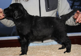 P220117JRMiraStående