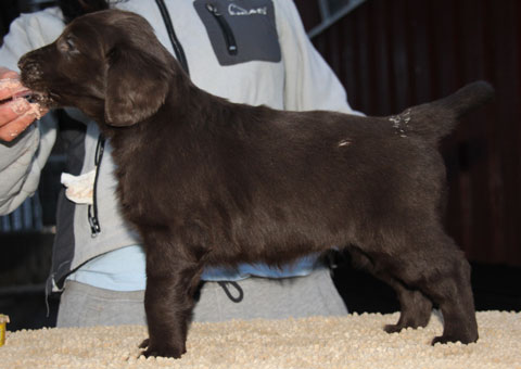 Q270117JRSashaStående