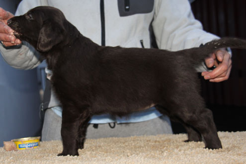 Q270117JhaleFrida Stående