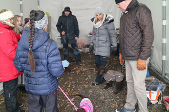 Valpetreff1PQ05031711