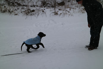 Valpetreff1PQ05031712