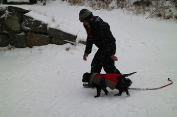 Valpetreff1PQ05031713