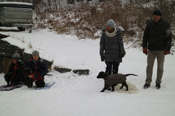 Valpetreff1PQ0503175