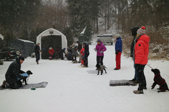 Valpetreff1PQ0503176