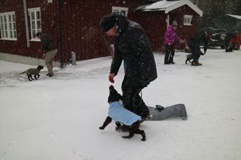 Valpetreff1PQ0503178