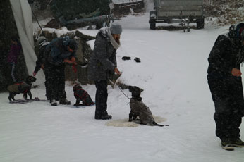 Valpetreff1PQ0503179