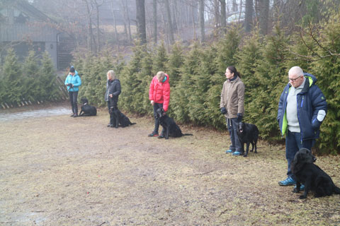 Valpetreff2Nydelige26021711