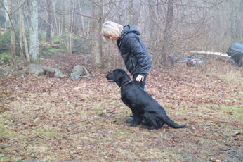 Valpetreff2Nydelige2602173