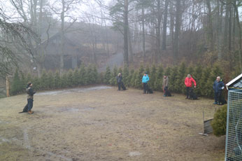 Valpetreff2Nydelige2602175