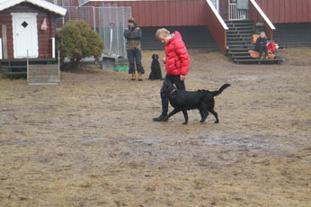 Valpetreff2Nydelige2602177