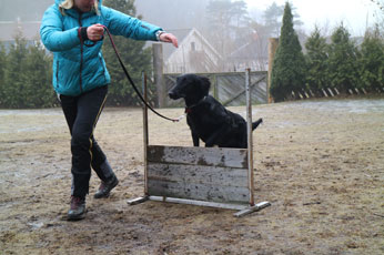 Valpetreff2Nydelige2602178