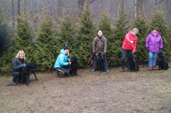 Valpetreff2Nydelige2602179